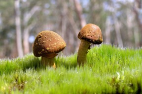世界体操锦标赛金牌争夺白热化，世界体操锦标赛时间